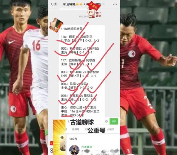 中国香港队vs伊朗控球率