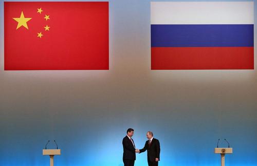 中国vs俄罗斯鸽子视频