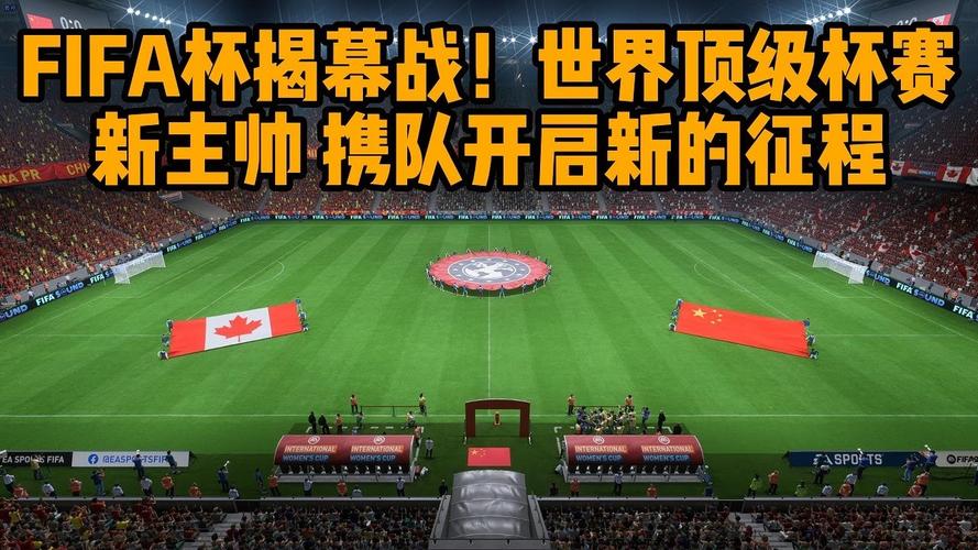 中国vs加拿大2018