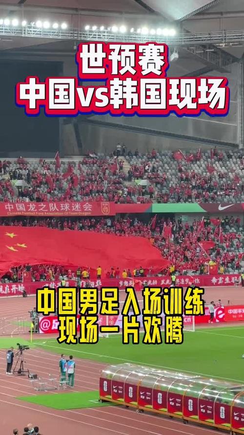 中国vs韩国入场视频回放