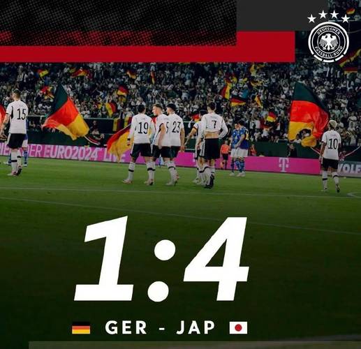 德国vs日本截图