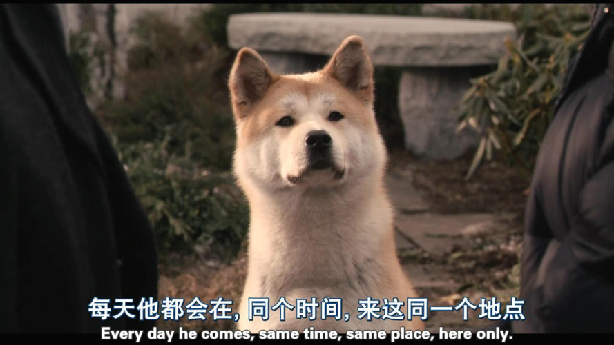忠犬八公美国版和日本版叫什么