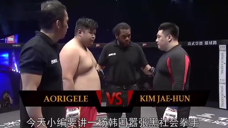 拳王vs中国裁判