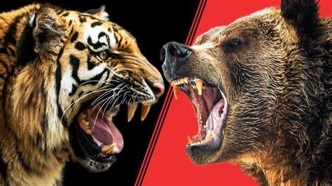 老虎vs日本人