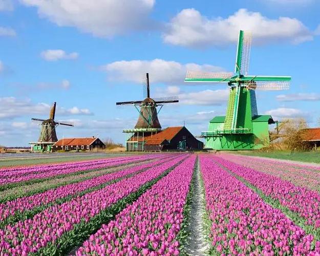 荷兰比利时什么季节去最好
