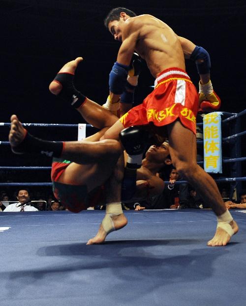 2008中国散打vs泰拳